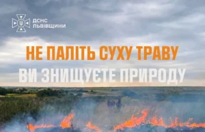 На Львівщині за добу зафіксували 14 пожеж в екосистемах На Львівщині за добу зафіксували 14 пожеж в екосистемах