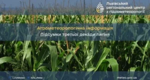 Агрометеорологічний огляд третьої декади липня на Львівщині