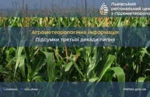 Агрометеорологічний огляд третьої декади липня на Львівщині Агрометеорологічний огляд третьої декади липня на Львівщині