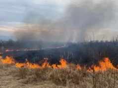 Львів співфінансуватиме пожежний загін Добросинсько-Магерівської громади Львів співфінансуватиме пожежний загін Добросинсько-Магерівської громади