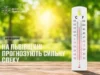 На Львівщині 4–6 серпня очікують сильну спеку до 42° На Львівщині 4–6 серпня очікують сильну спеку до 42°