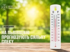 На Львівщині 4–6 серпня очікують сильну спеку до 42° На Львівщині 4–6 серпня очікують сильну спеку до 42°