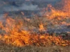 На 5–6 серпня у Львові оголосили надзвичайну пожежну небезпеку
