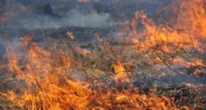 На 5–6 серпня у Львові оголосили надзвичайну пожежну небезпеку