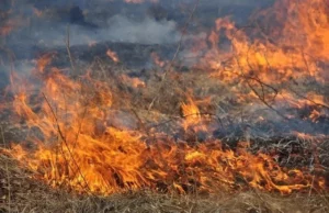 На 5–6 серпня у Львові оголосили надзвичайну пожежну небезпеку