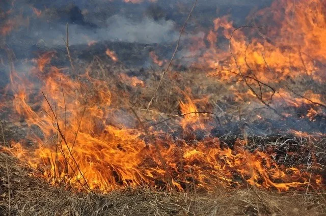 image На 5–6 серпня у Львові оголосили надзвичайну пожежну небезпеку