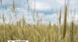 На Львівщині оголосили надзвичайну пожежну небезпеку з 1 до 7 серпня