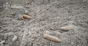У селі Виписки на Львівщині виявили та знищили артснаряди часів Другої світової