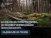 На Львівщині відшкодовано понад 900 тис. грн за незаконну рубку 621 дерева На Львівщині відшкодовано понад 900 тис.