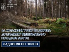 На Львівщині відшкодовано понад 900 тис. грн за незаконну рубку 621 дерева На Львівщині відшкодовано понад 900 тис.