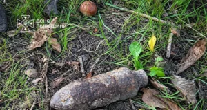 У львівському парку виявили та знищили застарілий боєприпас