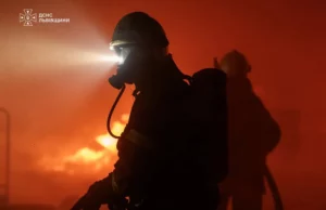 На Львівщині за добу загасили 10 пожеж, три з них в екосистемах