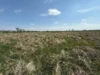 Львів та Малі Підліски виставляють на аукціон 5 ділянок під бізнес