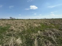 Львів та Малі Підліски виставляють на аукціон 5 ділянок під бізнес Львів та Малі Підліски виставляють на аукціон 5 ділянок під бізнес