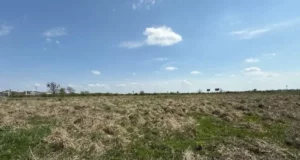 Львів та Малі Підліски виставляють на аукціон 5 ділянок під бізнес