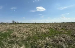Львів та Малі Підліски виставляють на аукціон 5 ділянок під бізнес