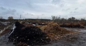 Львівська станція компостування приймає перше опале листя
