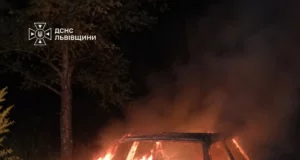 У селі Вовчатичі вогонь знищив легковик ВАЗ‑2108
