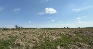У Львові та Малих Підлісках продадуть п’ять ділянок для бізнесу на земельному аукціоні