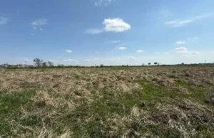 У Львові та Малих Підлісках продадуть п’ять ділянок для бізнесу на земельному аукціоні
