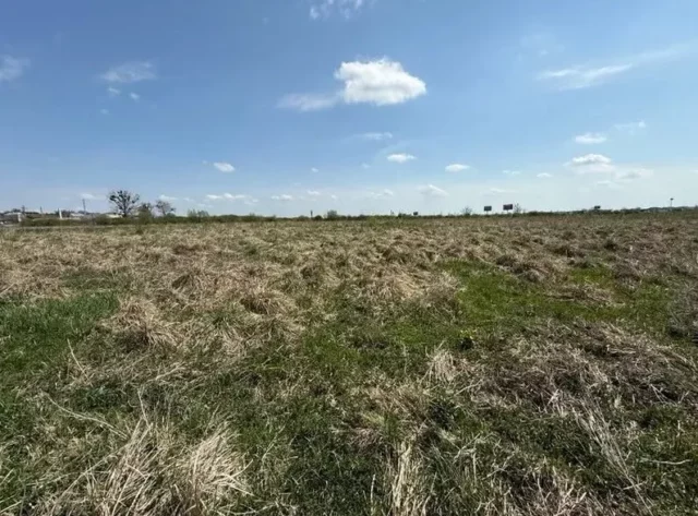 У Львові та Малих Підлісках продадуть п’ять ділянок для бізнесу на земельному аукціоні