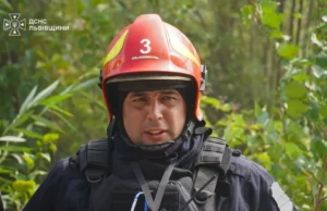 За добу на Львівщині зафіксували 49 пожеж, більшість — в екосистемах За добу на Львівщині зафіксували 49 пожеж, більшість — в екосистемах