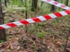 У трьох районах Львівщини виявили боєприпаси часів Другої світової війни
