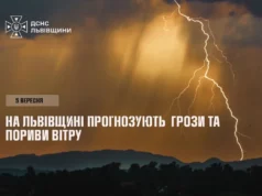 5 вересня на Львівщині очікують грози та пориви вітру до 20 м/с