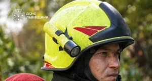 На Львівщині за добу ліквідували 7 пожеж, з них 3 в екосистемах
