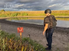 Поблизу села Велике Колодно виявили ймовірну мінометну міну часів Другої світової
