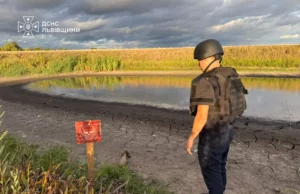 Поблизу села Велике Колодно виявили ймовірну мінометну міну часів Другої світової