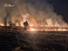 (Українська) На Львівщині за добу зафіксували 64 пожежі в екосистемах На Львівщині за добу зафіксували 64 пожежі в екосистемах
