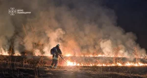 На Львівщині за добу зафіксували 64 пожежі в екосистемах