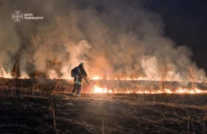 На Львівщині за добу зафіксували 64 пожежі в екосистемах