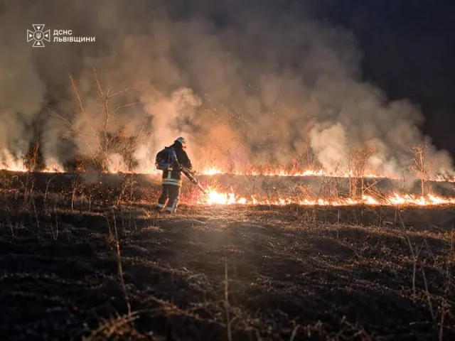 image На Львівщині за добу зафіксували 64 пожежі в екосистемах