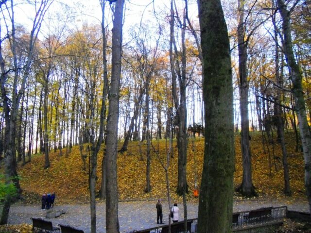 uma-foto-lvivshchyna-truskavets-park