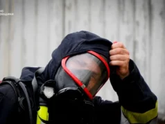 На Львівщині за добу сталося 48 пожеж, більшість — в екосистемах