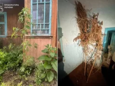 На Львівщині судитимуть двох чоловіків за постачання метадону в колонію На Львівщині судитимуть двох чоловіків за постачання метадону в колонію