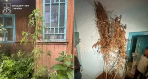 На Львівщині судитимуть двох чоловіків за постачання метадону в колонію