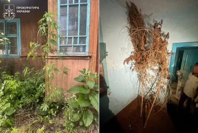 image На Львівщині судитимуть двох чоловіків за постачання метадону в колонію