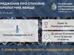 На Львівщині оголосили помаранчевий рівень небезпеки через сильні заморозки На Львівщині оголосили помаранчевий рівень небезпеки через сильні заморозки