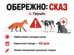 У Грушеві на Яворівщині зафіксували випадок сказу в домашньої тварини У Грушеві на Яворівщині зафіксували випадок сказу в домашньої тварини