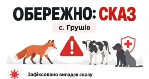 У Грушеві на Яворівщині зафіксували випадок сказу в домашньої тварини