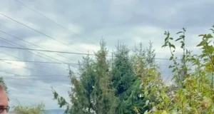 У Малехові через падіння ворожого безпілотника травмувалися дві жінки