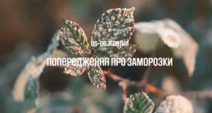 На Львівщині 5–6 жовтня прогнозують заморозки до 0–2°