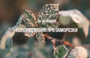 На Львівщині 5–6 жовтня прогнозують заморозки до 0–2°