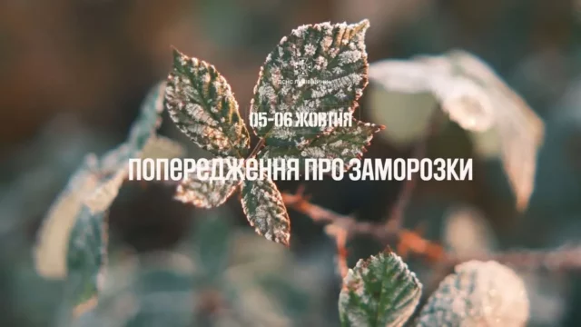 На Львівщині 5–6 жовтня прогнозують заморозки до 0–2°