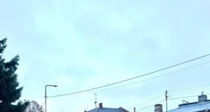 У Стрию вшанували 67-му річницю загибелі Степана Бандери