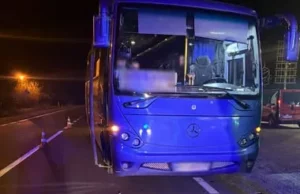 У селі Наконечне Перше на Львівщині в ДТП з автобусом загинув 77-річний велосипедист