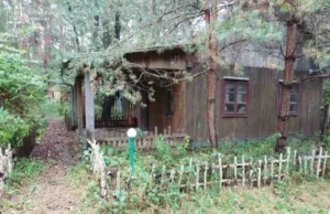 На Львівщині за рішенням суду громаді повернули 0,8 га лісу